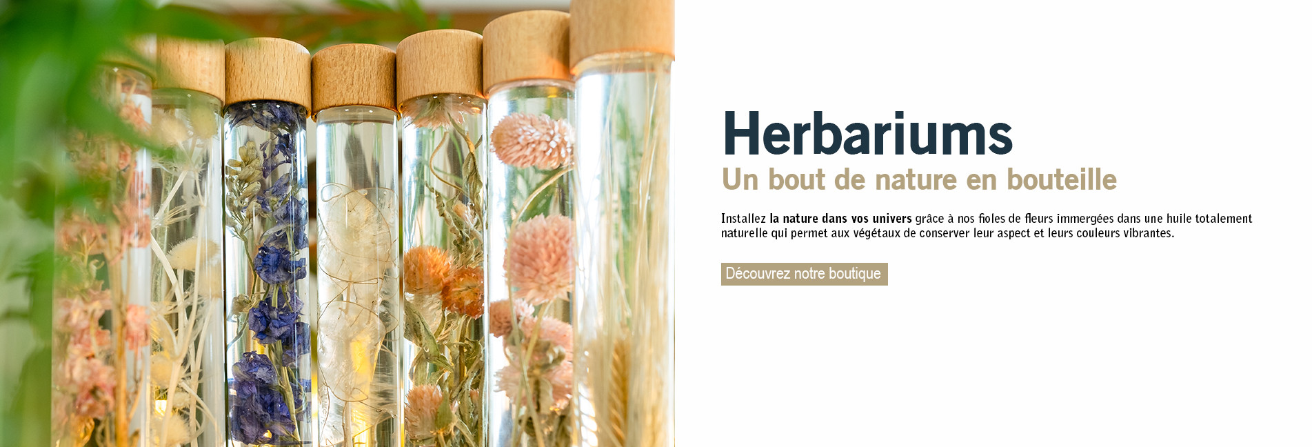 Herbariums